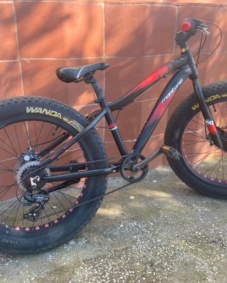 Fat bike