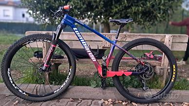 mtb 27.5 s telaio e forcella in carbonio