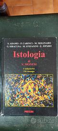 testo universitario 