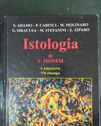 testo universitario 