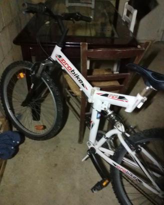 pro bike chiudibile