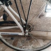 bici uomo