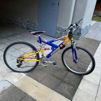 Bicicletta