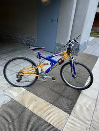 Bicicletta