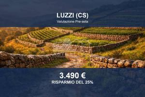 Immobile in asta di 750 m² a Luzzi