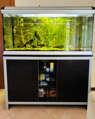 Acquario Ferplast 330 lt