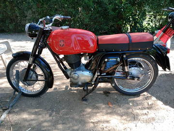 Gilera 175 giubileo 1961