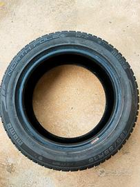 Gomme invernali