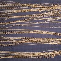 Tenda a fili 5 € altezza + 2 m / lunghezza 119,5 m