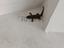 Immagine 14