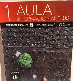 AULA INTERNACIONAL 1 plus