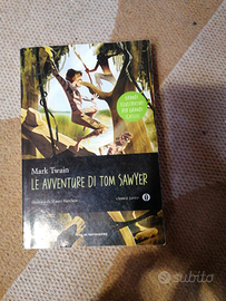 Le avventure di Tom Sawyer