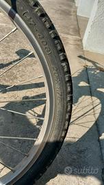 bicicletta bambina raggio 20