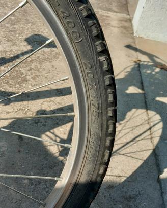 bicicletta bambina raggio 20