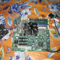 scheda madre server hp