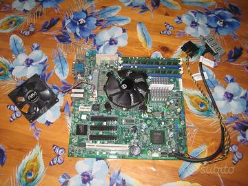 scheda madre server hp