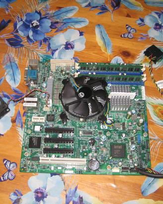 scheda madre server hp