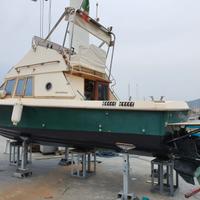 Barca bertram - motori diesel elettronici