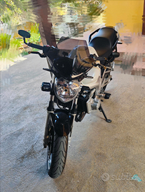 Moto FZ6