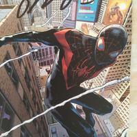 Stampa Spiderman Miles Morales autografata