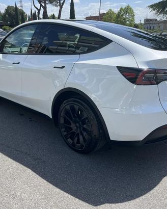 Tesla Y Long Range a trazione integrale
