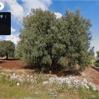 Terreno in Pezze di Greco, Via Costa 3000 metri