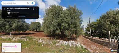 Terreno in Pezze di Greco, Via Costa 3000 metri