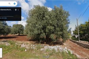 Terreno in Pezze di Greco, Via Costa 3000 metri