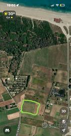 Terreno agricolo con uliveto