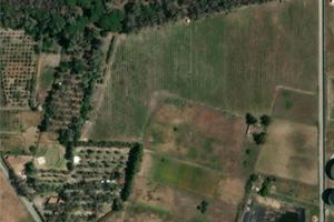 Terreno agricolo con uliveto