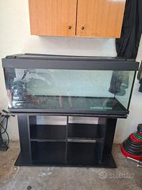 Acquario 250 litri