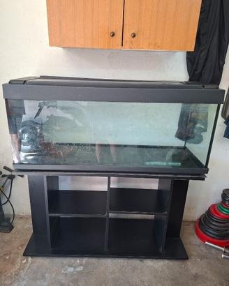Acquario 250 litri