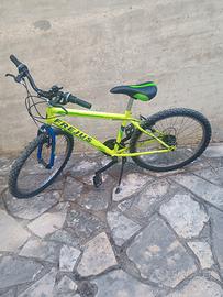 bicicletta 24"