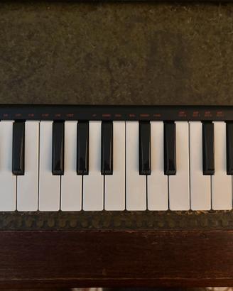 Tastiera Midi Akai LPK 25
