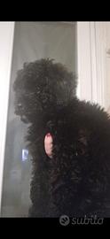 Barbone toy