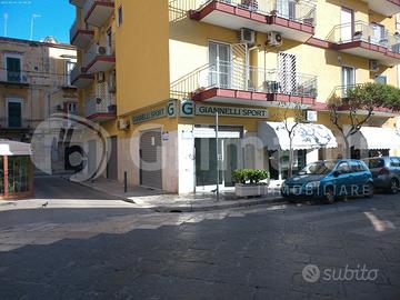 Negozio Trani [Cod. rif 3249990ACG]