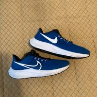 Nike air zoom pegasus running