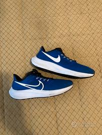 Nike air zoom pegasus running