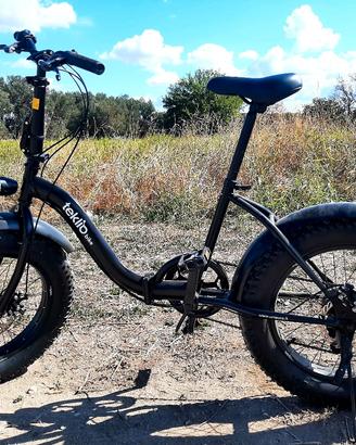 Bici pieghevole ruote fat bike a 6 rapporti