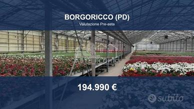 Immobile in asta di 13480 m² a Borgoricco