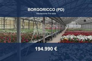 Immobile in asta di 13480 m² a Borgoricco