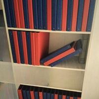 Raccoglitori ad anelli A4 (lotto da 44)