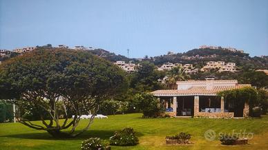 Villa Tiziana +39 3287770508 costa rei