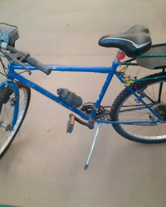 bicicletta uomo con portapacchi