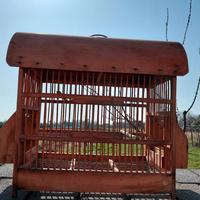 Gabbia per uccelli