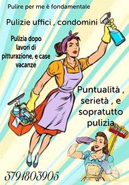 Addetta pulizie condominiali ,uffici e non solo