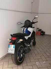 Suzuky Gladius 650