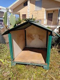 Cuccia