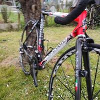 colnago c50   campagnolo record carbon 10v   vende