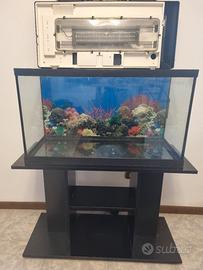 Acquario Askoll 130 litri